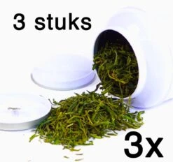 Merkloos 3 Stuks - Theeblik - Wit - Theeblik 100 Gram - Rond - Theedoos - Theeblik Met Binnendeksel - Dubbele Deksel - Theeblikken Voor Losse Thee - Bewaarblik - Voorraadbussen - Opbergbak - Voorraadbus - Voor Losse Thee, Kruiden, Specerijen En Koffiebonen -Beste Koffie Winkel 1200x1125