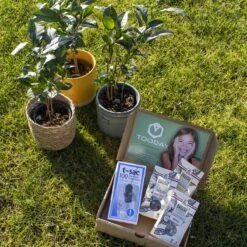 T-Sac Theefilters No.1 -Beste Koffie Winkel 1200x1200 115