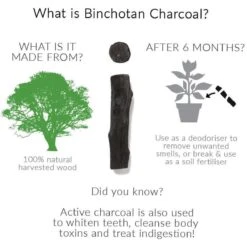 Black + Blum Binchotan Active Charcoal For Eau Good Water Bottles 4-pack -Beste Koffie Winkel 1200x1200 177