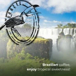 Soolong Enjoy Brazilie Nr4000 Koffiebonen Topacio Lungo - Speciality Koffie Arabica Medium Roast, Light Body Met Een Verfijnde Zacht Zoete Smaak. - Zak 250gram 17 Soolong Enjoy Brazilie Nr4000 Koffiebonen Topacio Lungo - Speciality Koffie Arabica Medium Roast, Light Body Met Een Verfijnde Zacht Zoete Smaak. - Zak 250gram -Beste Koffie Winkel 1200x1200 470