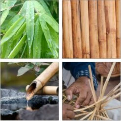 Relaxdays Theedoos 5 Vaks - Theekist - Theezakjeshouder - Bamboe - Voor Ca. 10 Theezakjes 20 Relaxdays Theedoos 5 Vaks - Theekist - Theezakjeshouder - Bamboe - Voor Ca. 10 Theezakjes -Beste Koffie Winkel 1200x1200 70