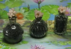 1000g Shungiet Shungite Stenen Voor Water En Ontstoring 22 1000g Shungiet Shungite Stenen Voor Water En Ontstoring -Beste Koffie Winkel 1200x832