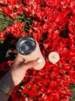 Retulp - Tumbler Thermosbeker – Champagne Pink – 300 Ml - Thermosfles - Roze -Beste Koffie Winkel 899x1200 3